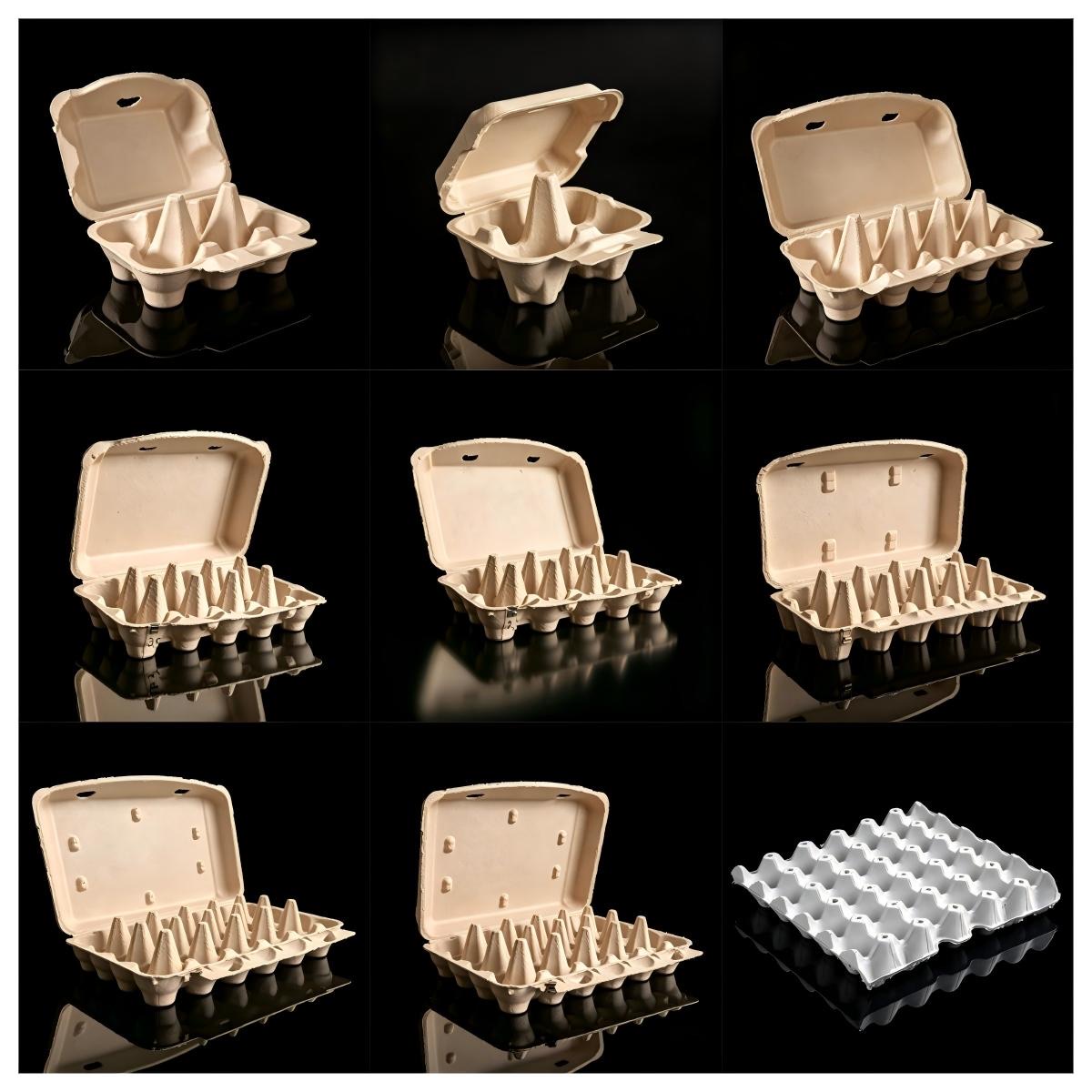 Pulp Molding