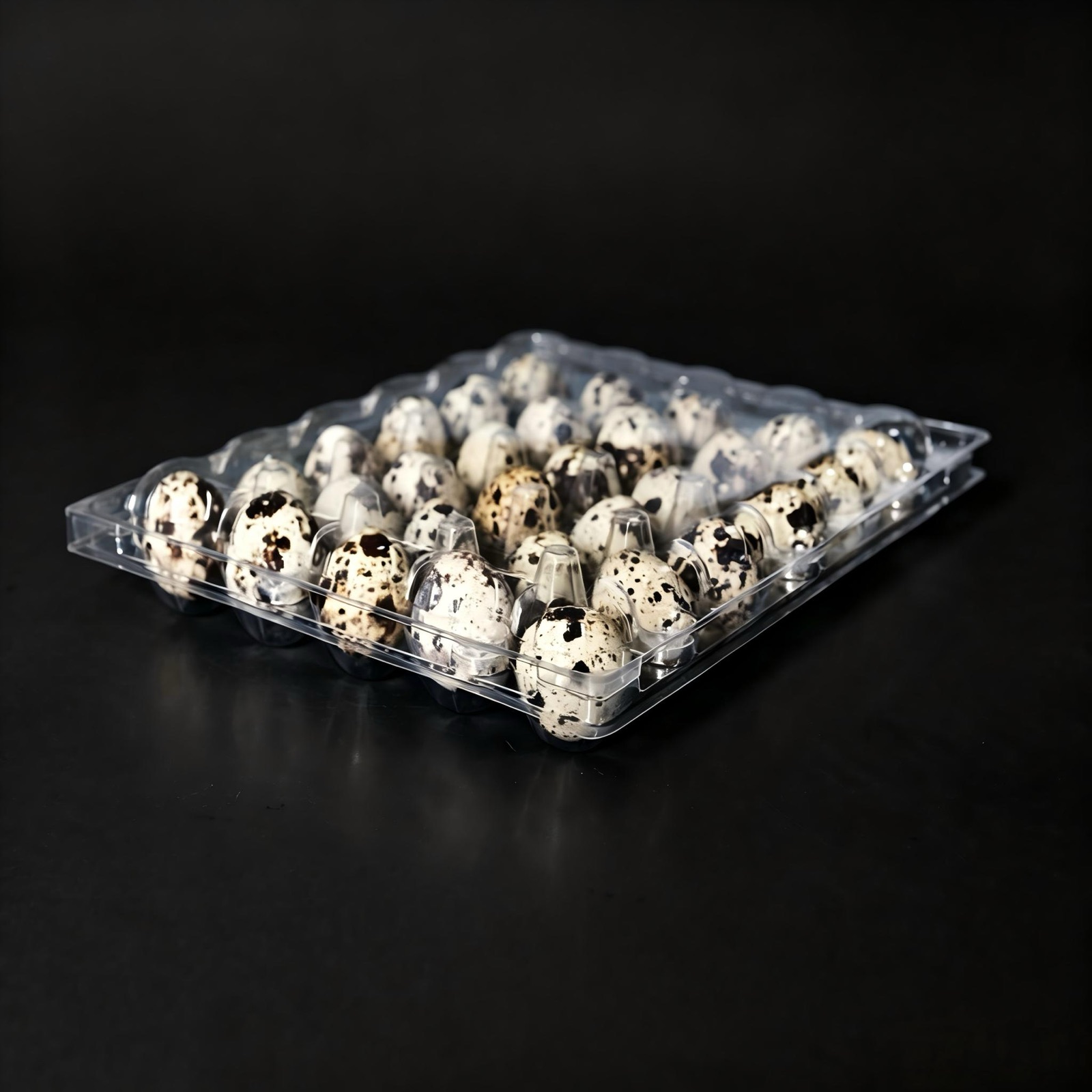 egg-dairy client photo 3