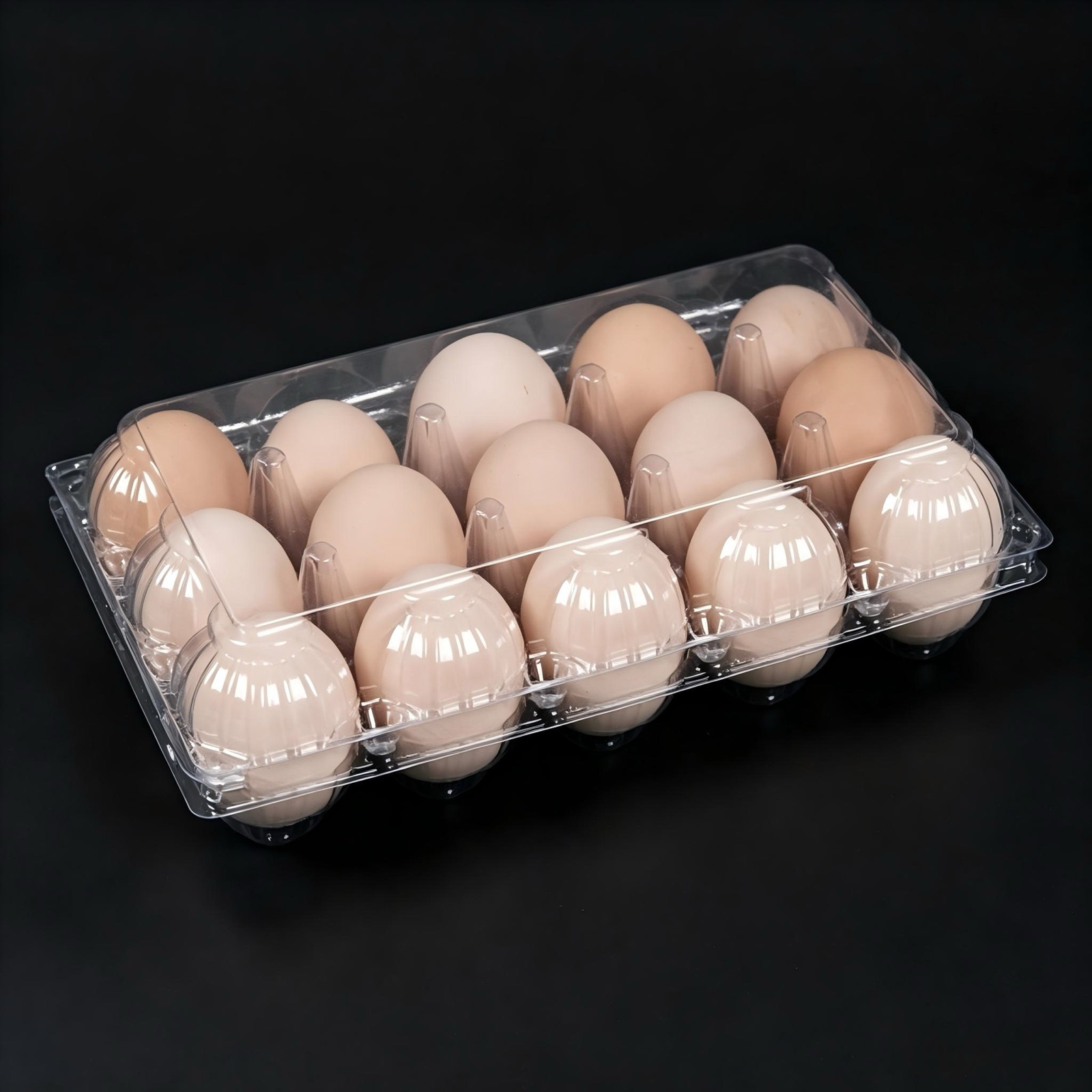 egg-dairy client photo 4
