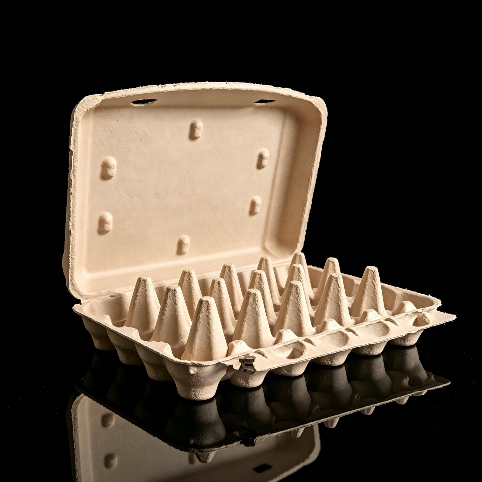 Pulp Molding