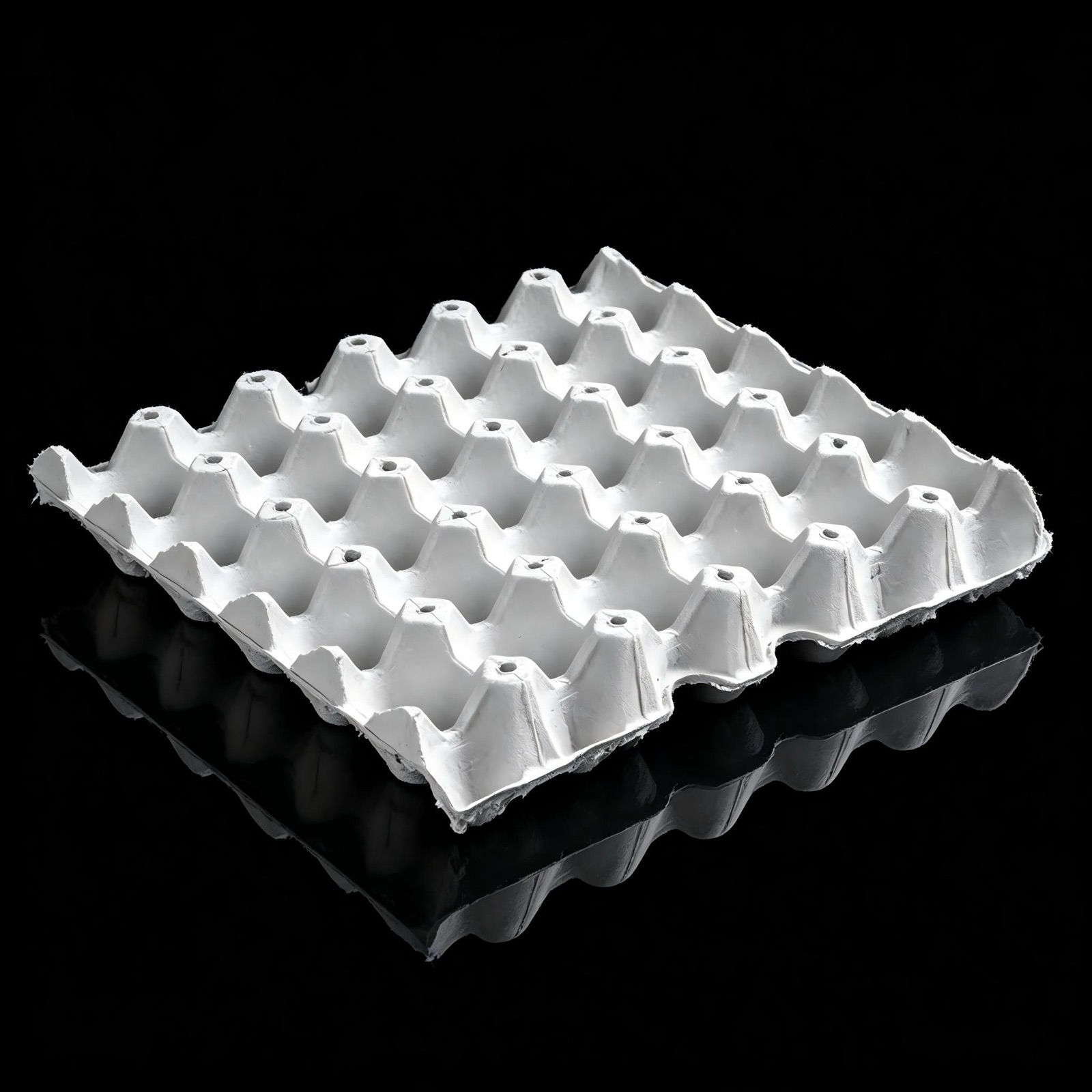 Molded pulp food trays
